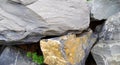 Part of a rustic garden wall made of large limestone boulders Royalty Free Stock Photo