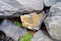 Part of a rustic garden wall made of large limestone boulders   2 Royalty Free Stock Photo