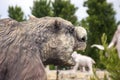 The head of a tiger of the Mesozoic era. Sculpture.