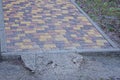 Part of a sidewalk alley made of brown stone paving slabs Royalty Free Stock Photo