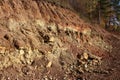 Part of the slope dug by an excavator with exposure of limestone rocks and clays of the Carboniferous period, lying under a layer