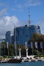 Part of the Sochi sea port with people fishing