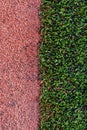 Part of the sports green stadium and brown racetracks