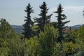 Part of street in the Paunovo village with old house, tree and fence, Sredna Gora mountain Royalty Free Stock Photo