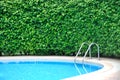 Part of swimming pool and plant fence Royalty Free Stock Photo