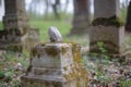 Part of a tombstone statue in cemetery