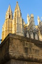 Towers of the cathedral of Palma Royalty Free Stock Photo