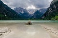 Part of the tree on the shore of Lake Braies and view of the Alps from the shore,Picturesque. Alpe di Siusi or Seiser Alm with