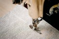 Part of a vintage sewing machine and item of clothing. Steel needle with looper and presser foot close-up. Royalty Free Stock Photo