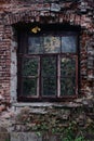 Part of the wall of an abandoned red brick house with a window. Trees grow inside. Royalty Free Stock Photo