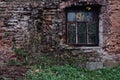 Part of the wall of an abandoned red brick house with a window. Trees grow inside. Royalty Free Stock Photo