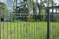 Part of the wall of a fence made of sharp black iron rods Royalty Free Stock Photo