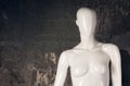 Part white female mannequin closeup. The head without the face and chest