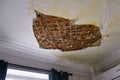 Part of the white plaster on the ceiling fell off as a result of flooding Royalty Free Stock Photo