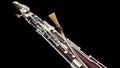 Bassoon cane. Royalty Free Stock Photo