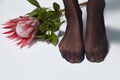 Part of woman body perfect shape toes foot sock legs skin tan wear stockings, nylons, pantyhose lingerie hosiery hose studio shot
