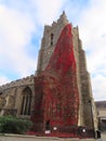 Looking at the Remembrance Poppies at St Peters Church