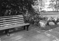 Part of a wooden bench near a flower bed with flowers and stones on a Sunny summer day in a city Park, black and white photo Royalty Free Stock Photo