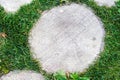 A part of wooden walkway, tree stump on green grass Royalty Free Stock Photo