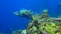 Part of the wreckage of a war battleship from World War II overgrown with sea corals. Liberty wreck off the coast of Bali island,