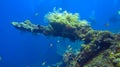 Part of the wreckage of a war battleship from World War II overgrown with sea corals. Liberty wreck off the coast of Bali island,