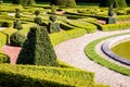 Shrubs and low hedges of box tree pruned in geometric shapes in a french formal garden