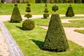 A parterre in a french formal garden with yew trees pruned in elaborate geometric shapes