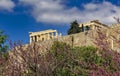 Parthenon ancient temple on acropolis hilll and lilac trees with violet colored flowers.