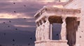 parthenon in Athens greece ancient monuments caryatids black bir Royalty Free Stock Photo