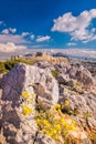 Parthenon temple with spring flowers on the Acropolis in Athens, Greece Royalty Free Stock Photo