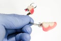 Dental removable lower jaw prosthesis