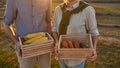 Partial of farmer couple hold corn and carrot