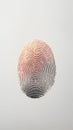 Partial fingerprint on white background. Minimal abstract rime or mystery concept.