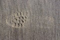 Partial imprint of the sole of a shoe in the wet brown sand of the beach Royalty Free Stock Photo