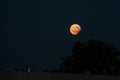 Partial lunar eclipse, August 07 2017, Regensburg, Germany Royalty Free Stock Photo