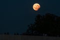 Partial lunar eclipse, August 07 2017, Regensburg, Germany Royalty Free Stock Photo