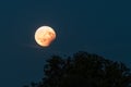 Partial lunar eclipse, August 07 2017, Regensburg, Germany Royalty Free Stock Photo