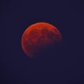 Partial Lunar Eclipse