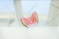 Partial plate denture Royalty Free Stock Photo