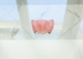 Partial plate denture Royalty Free Stock Photo