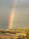 Partial Rainbow with green grass and young vineyard - Paso Robles, California Royalty Free Stock Photo