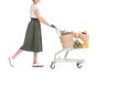 partial side view of woman pushing shopping trolley with grocery bags