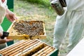 partial view of beekeepers with honeycomb