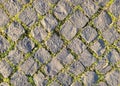 Partial view of cobblestone sidewalk in a park Royalty Free Stock Photo
