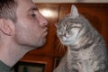 Hansome adult man going kissing adorable grey striped cat at home