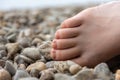 Partial view of a human bare foot on pebbles Royalty Free Stock Photo