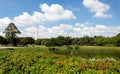 Partial view of Ibirapuera Park with the lake and the obelisk in the background, Sao Paulo