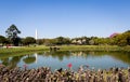 Ibirapuera Park and Obelisk of Sao Paulo Royalty Free Stock Photo