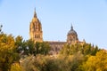 Partial View of Salamanca Cathedral behind the trees of the river Tormes at sunset Royalty Free Stock Photo