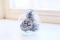 Partially blurred view with low sharpness transparent vase with silver cones minimalistic christmas concept